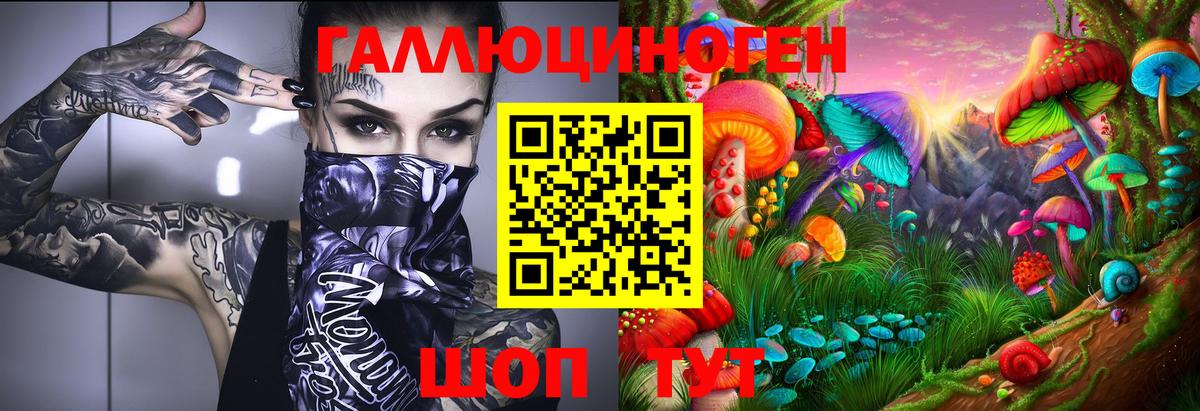 Псилоцибиновые грибы Psilocybine cubensis Можайск