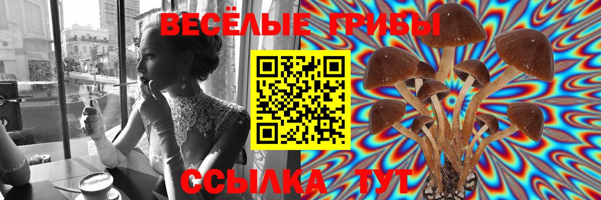 Галлюциногенные грибы мицелий  Вход с VPN  Можайск  Галлюциногенные грибы прущие грибы 